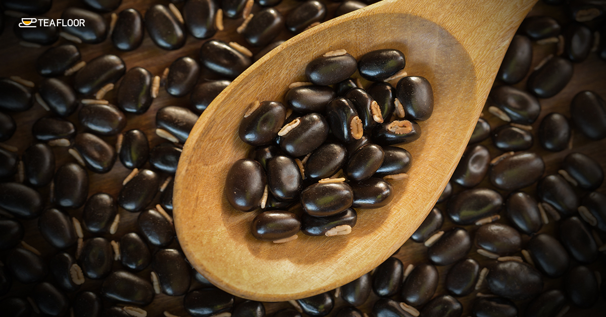 Mucuna Pruriens