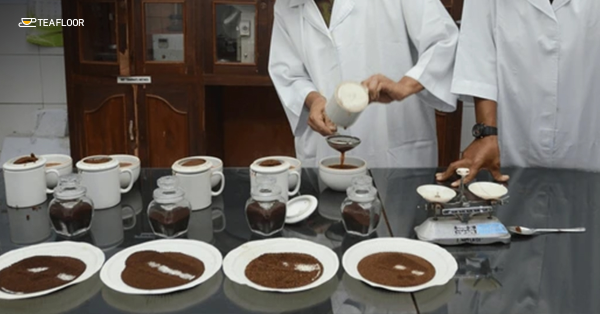 New Product Development