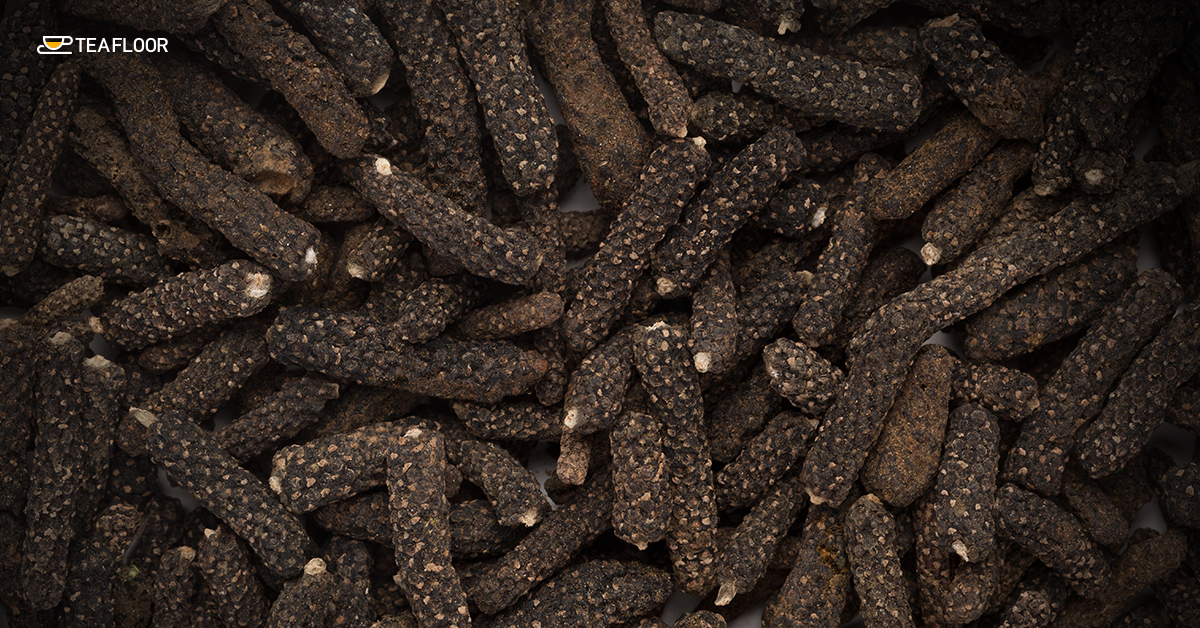 Pippali (Long Pepper)